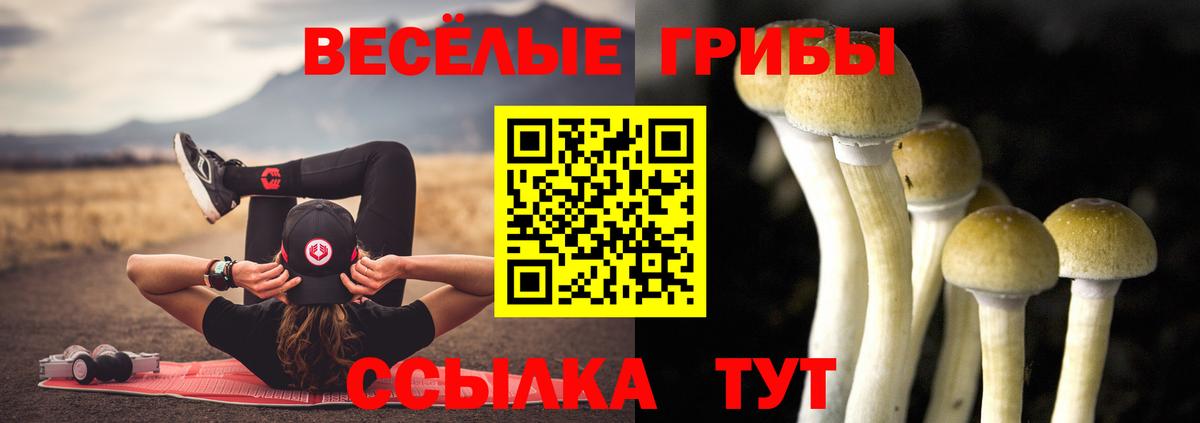 Хасавюрт  цены наркотик  Вход с VPN  Галлюциногенные грибы мухоморы 